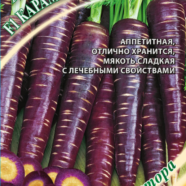 Морковь Карамель фиолетовая F1 "Гавриш"