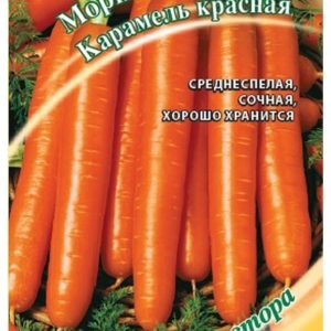 Морковь Карамель красная "Гавриш"