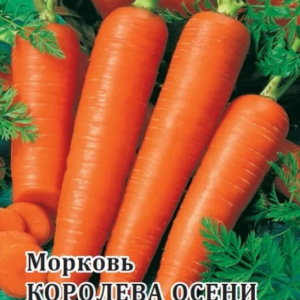 Морковь на ленте Королева осени "Гавриш"