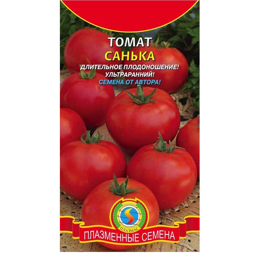 Ультраскороспелый сорт томатов Санька