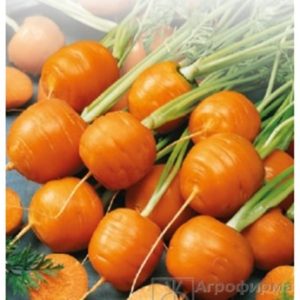 Морковь Внучка "Седек" серия Урожайная грядка