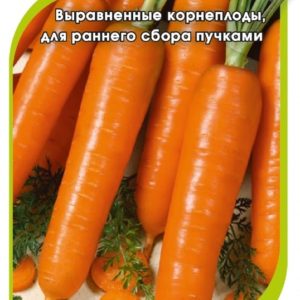 Морковь Лагуна F1 (Нунемс) "Агроэлита"