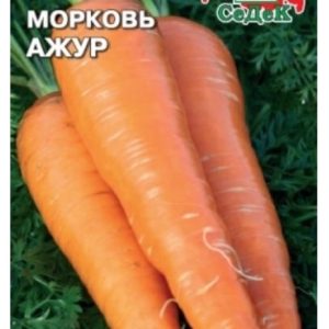 Морковь Ажур "Седек"
