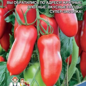 Томат Новый Кенигсберг красный "УД"