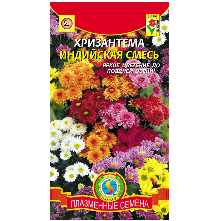 Хризантема Индийская смесь Плазменные семена 🏆 – купить семена в Перми