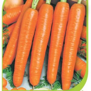 Морковь Нарбонне (Бейо) "Агроэлита" 0.3 гр