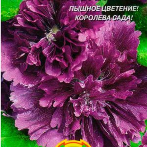 Шток-роза Королевская лиловая "Плазма" 0.1гр
