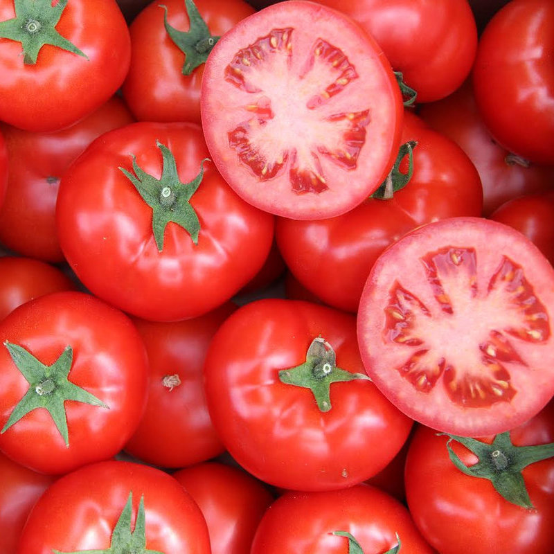 Купить семена томатов и огурцов белая конопля фото
