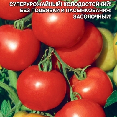 Томат Сверхранний 1105 «Уральский дачник» в Перми – купить семена
